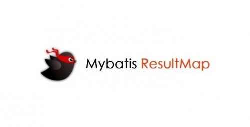 大数据基础：Mybatis 结果映射器ResultMap